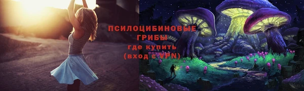 ПСИЛОЦИБИНОВЫЕ ГРИБЫ Карталы