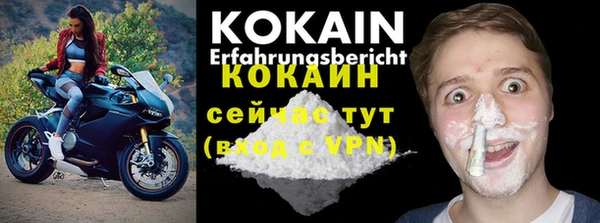 jwh Карпинск