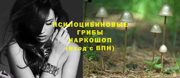 jwh Карпинск
