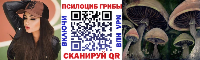 Галлюциногенные грибы Psilocybine cubensis  Купить где  Среднеколымск 